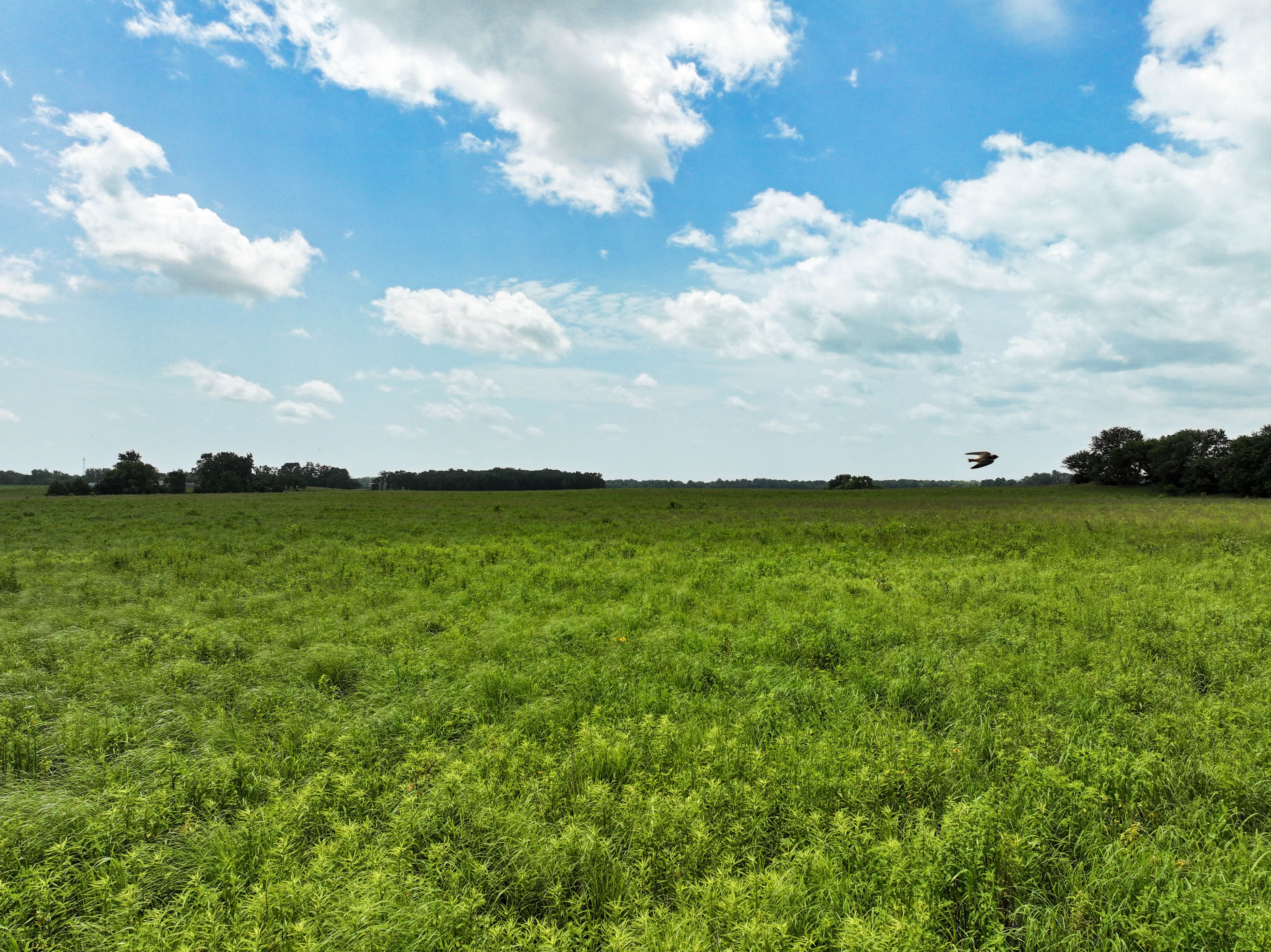 Listing Photo: 9_IA Land For Sale